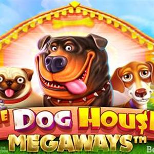 Pin Up The Dog House Megaways slot oyunu - sevimli köpek temalı megaways slot